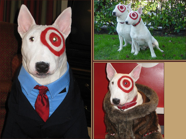 target dog. Target.